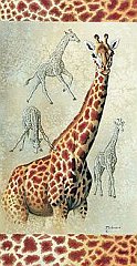 Giraffe 8